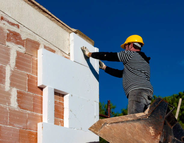 Best Insulation Maintenance and Repair in Buchanan, VA
