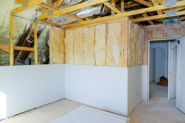 Best Specialized Insulation Services in Buchanan, VA