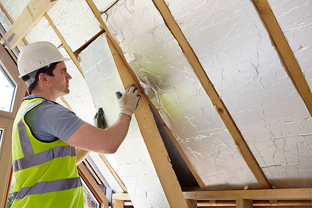 Best Geographic-Specific Insulation Services in Buchanan, VA