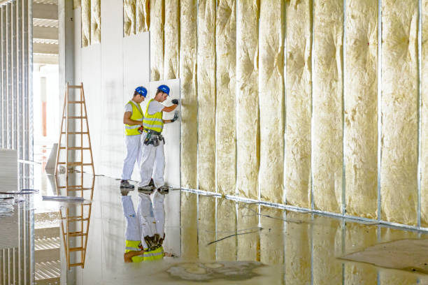 Best Spray Foam Insulation in Buchanan, VA